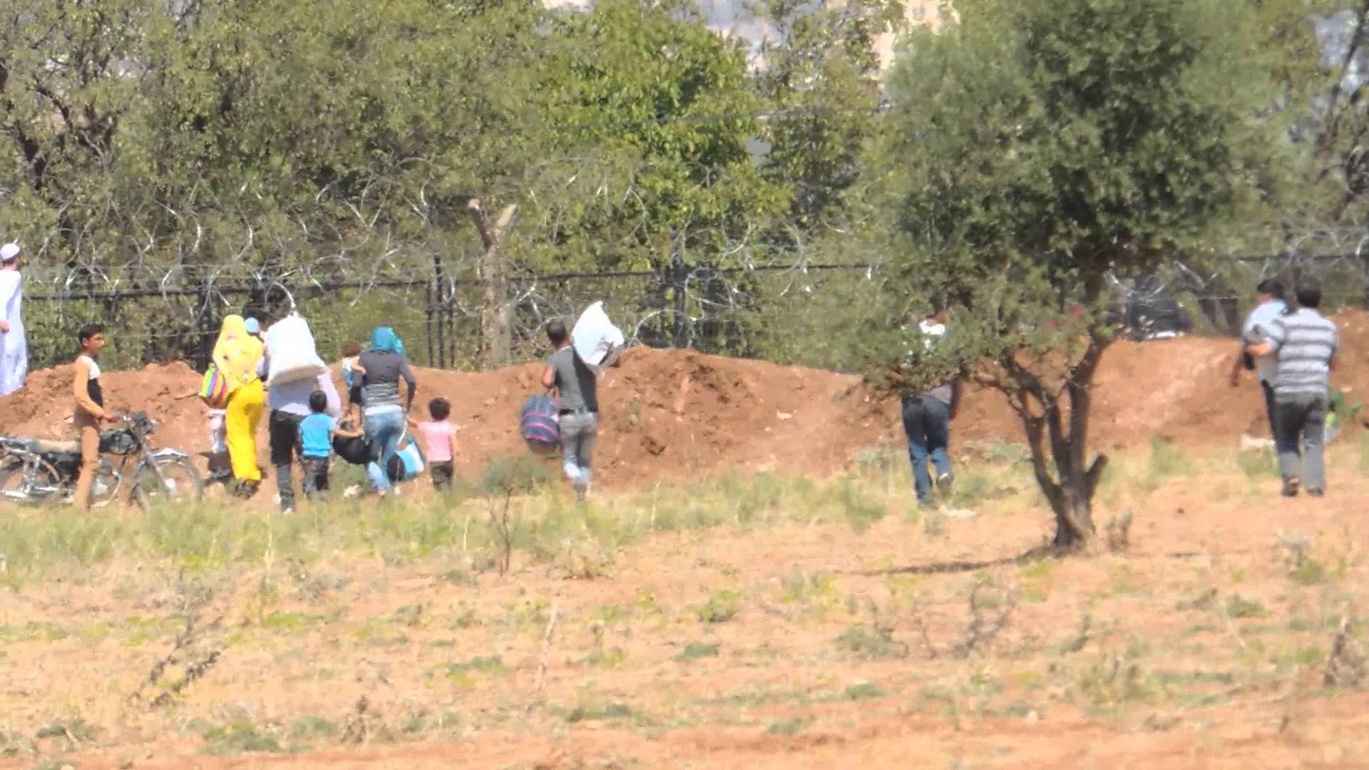 29 ألف نازح في لبنان جراء التصعيد مع إسرائيل