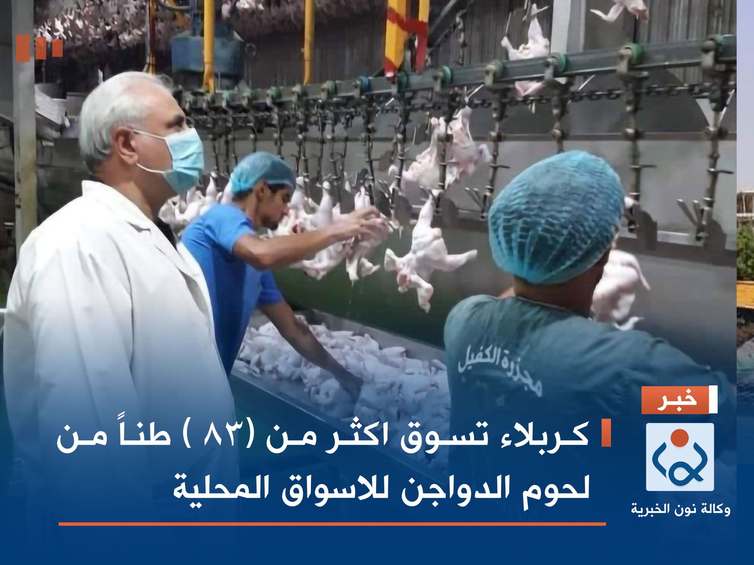 كربلاء تسوق اكثر من (83 ) طناً من لحوم الدواجن للاسواق المحلية