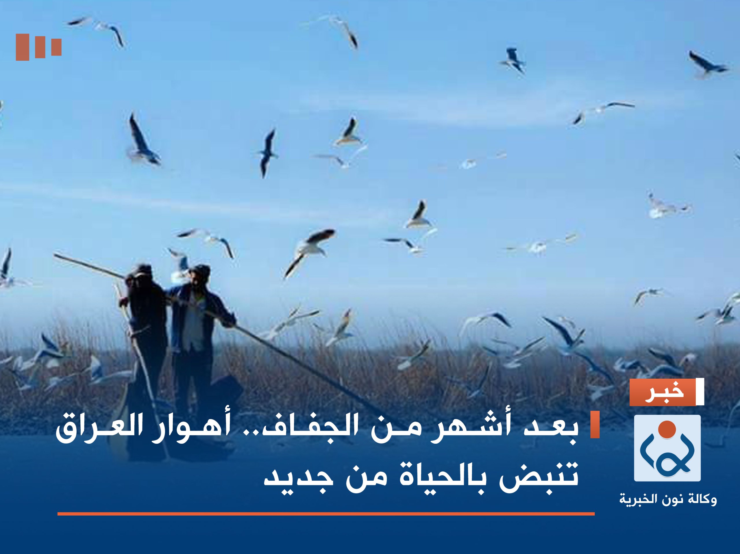 بعد أشهر من الجفاف.. أهوار العراق تنبض بالحياة من جديد