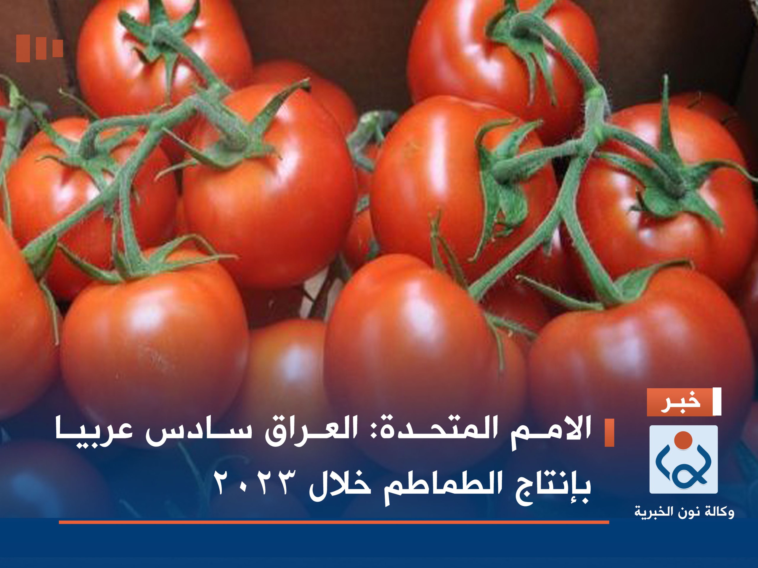 الامم المتحدة:العراق سادس عربيا بإنتاج الطماطم خلال 2023
