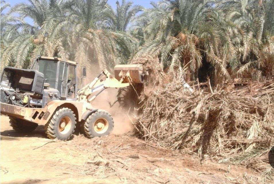 كربلاء :(10) الاف دونم من البساتين تم تجريفها