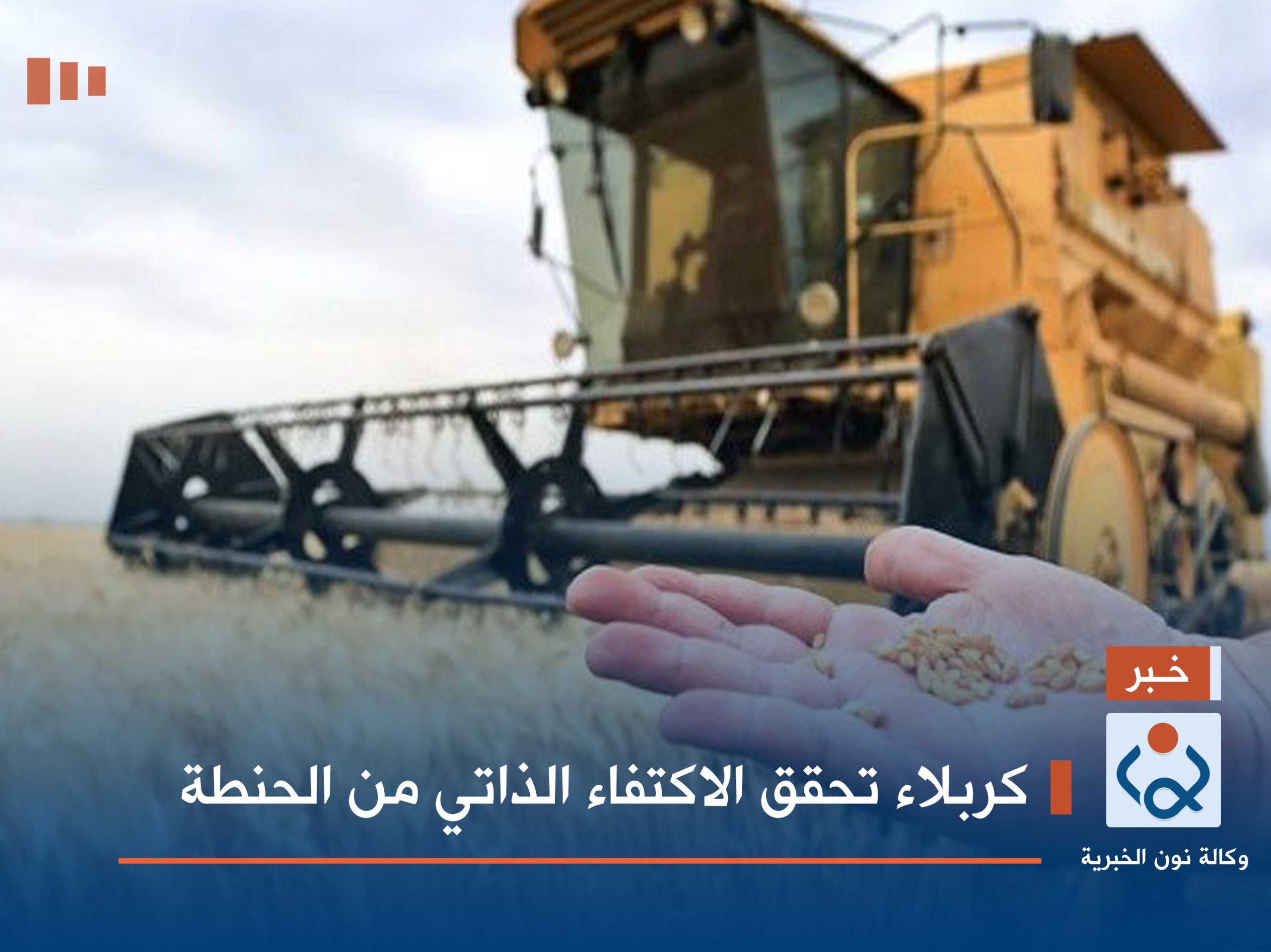 كربلاء تحقق الاكتفاء الذاتي من الحنطة