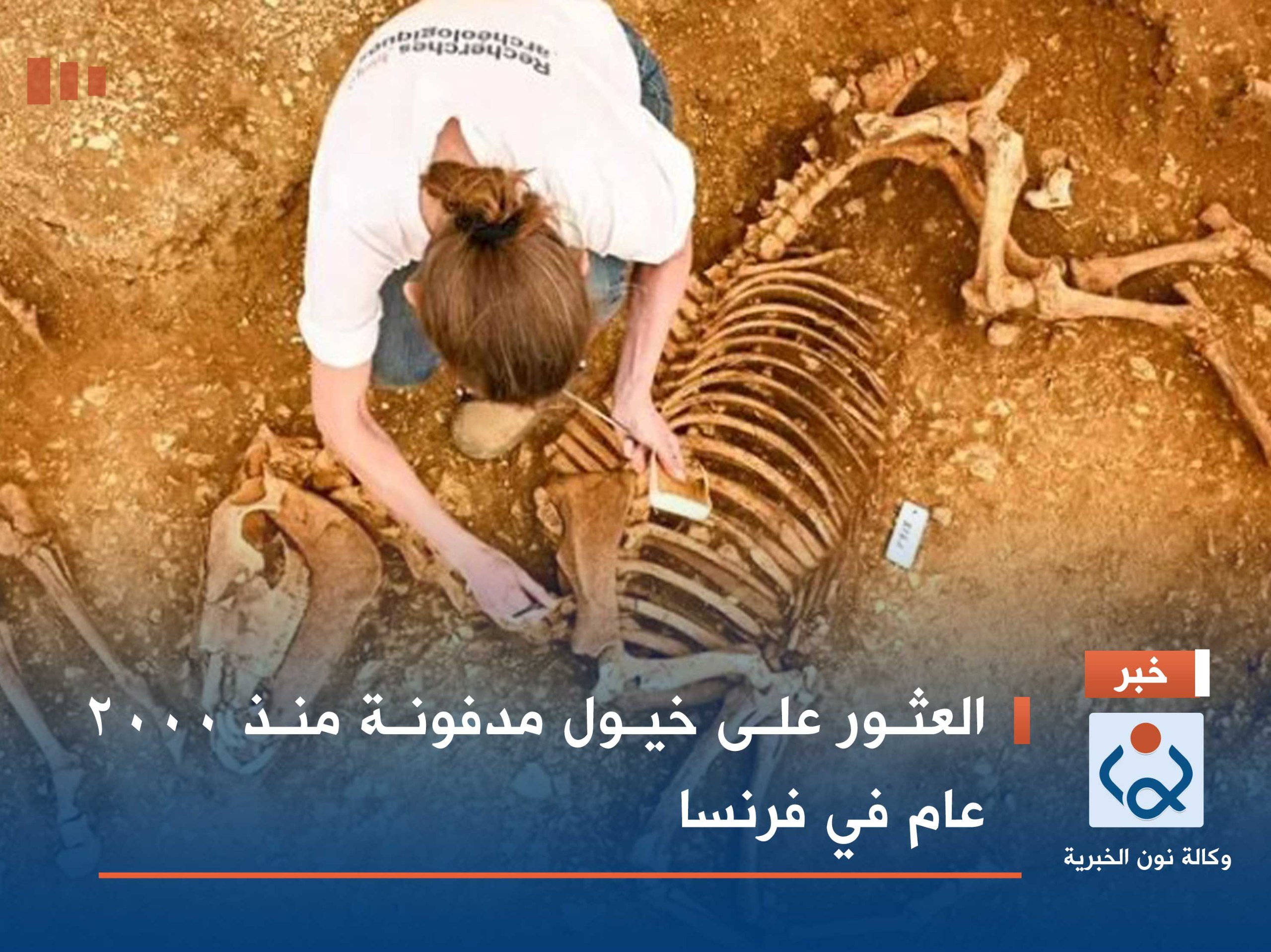 العثور على خيول مدفونة منذ 2000 عام في فرنسا