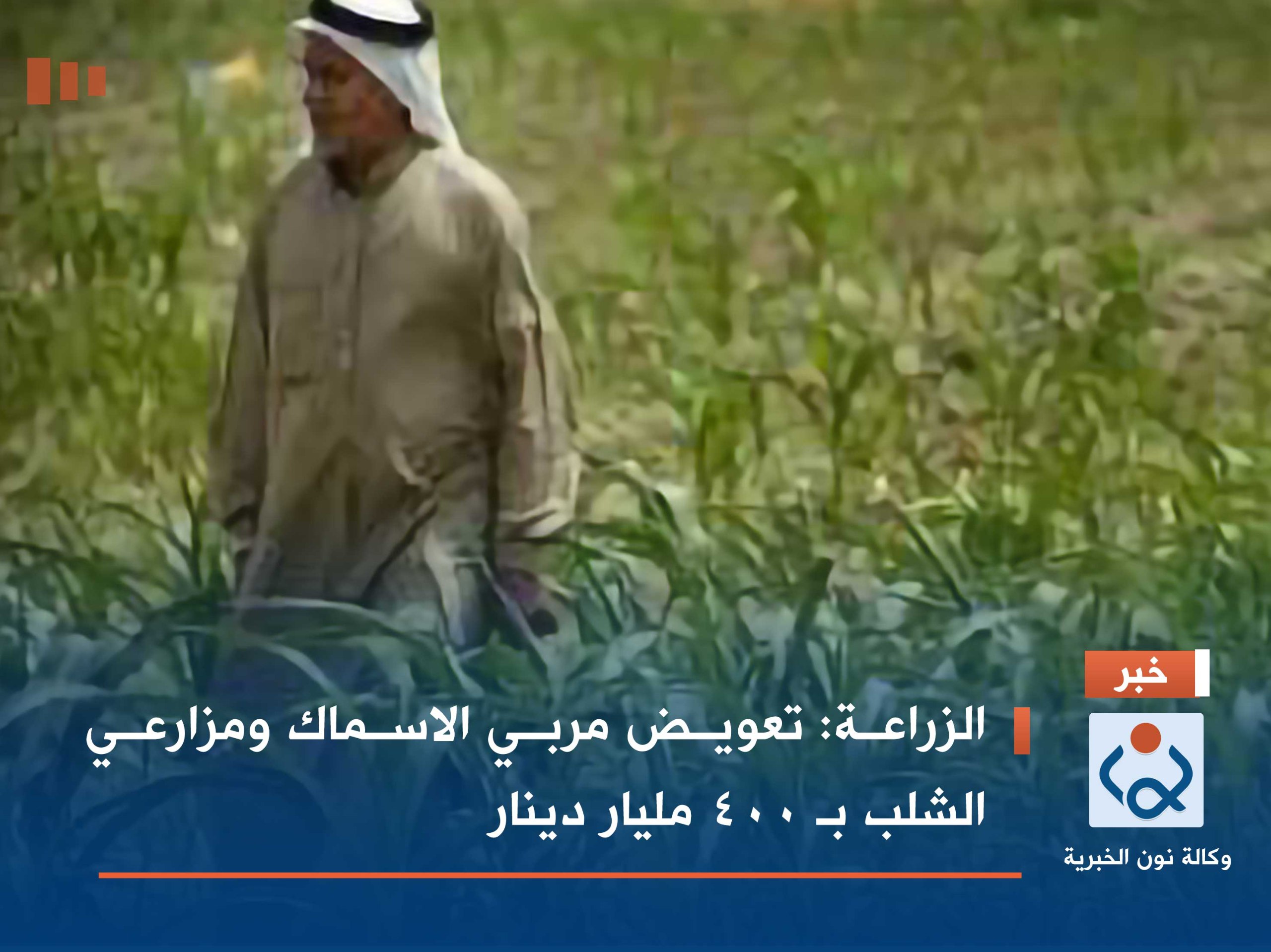 الزراعة: تعويض مربي الاسماك ومزارعي الشلب بـ 400 مليار دينار