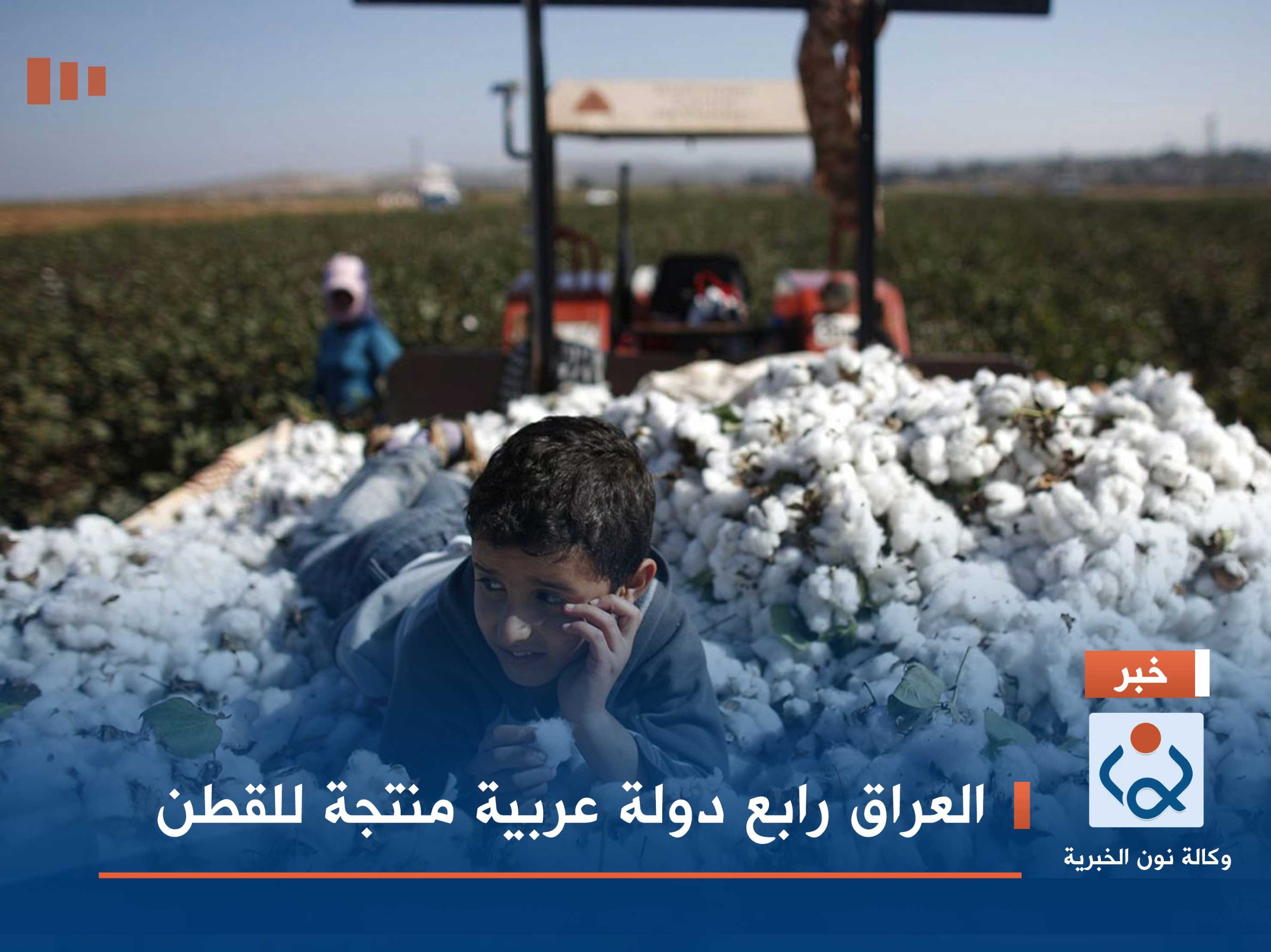 العراق رابع دولة عربية منتجة للقطن