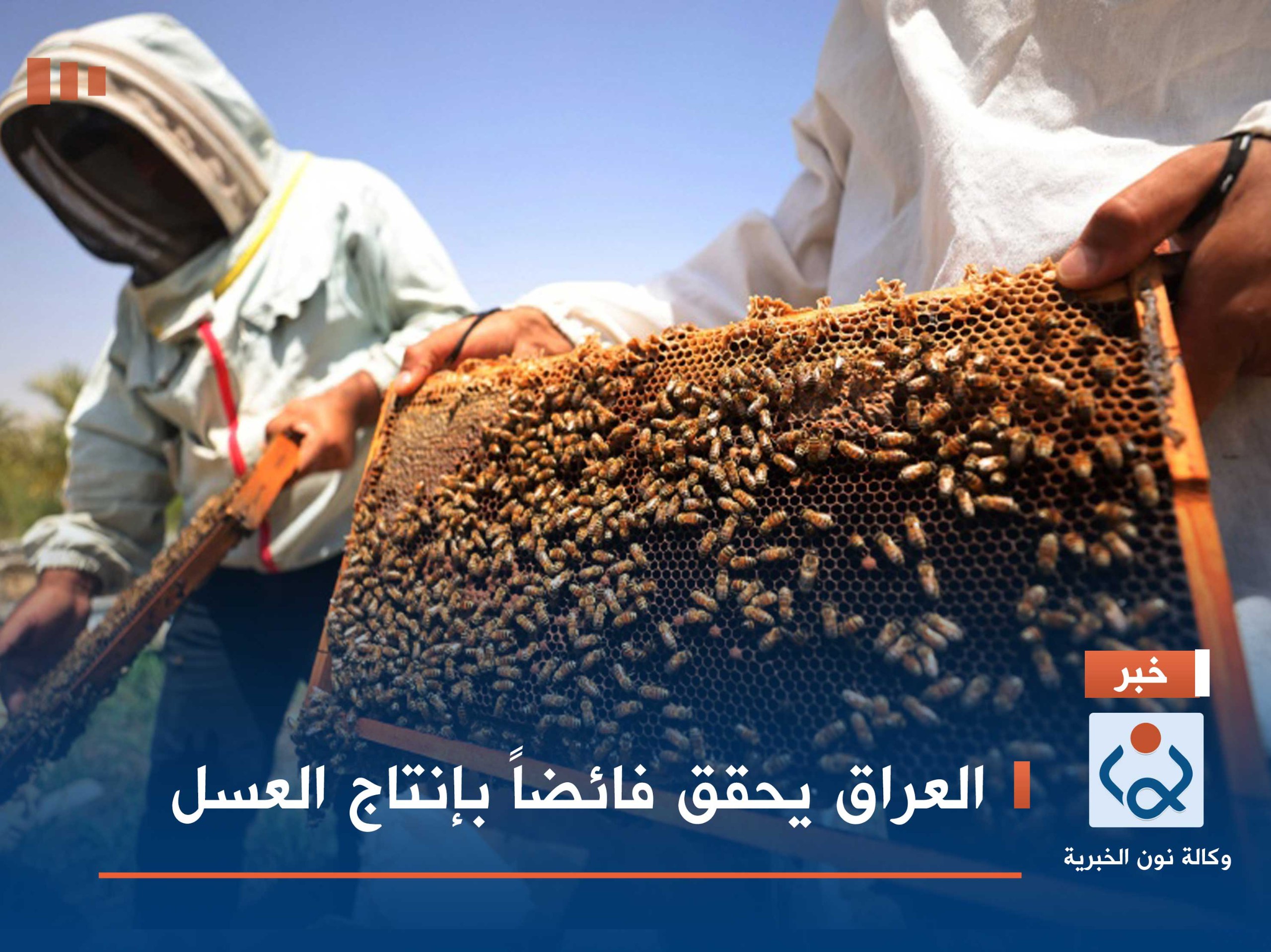 العراق يحقق فائضاً بإنتاج العسل