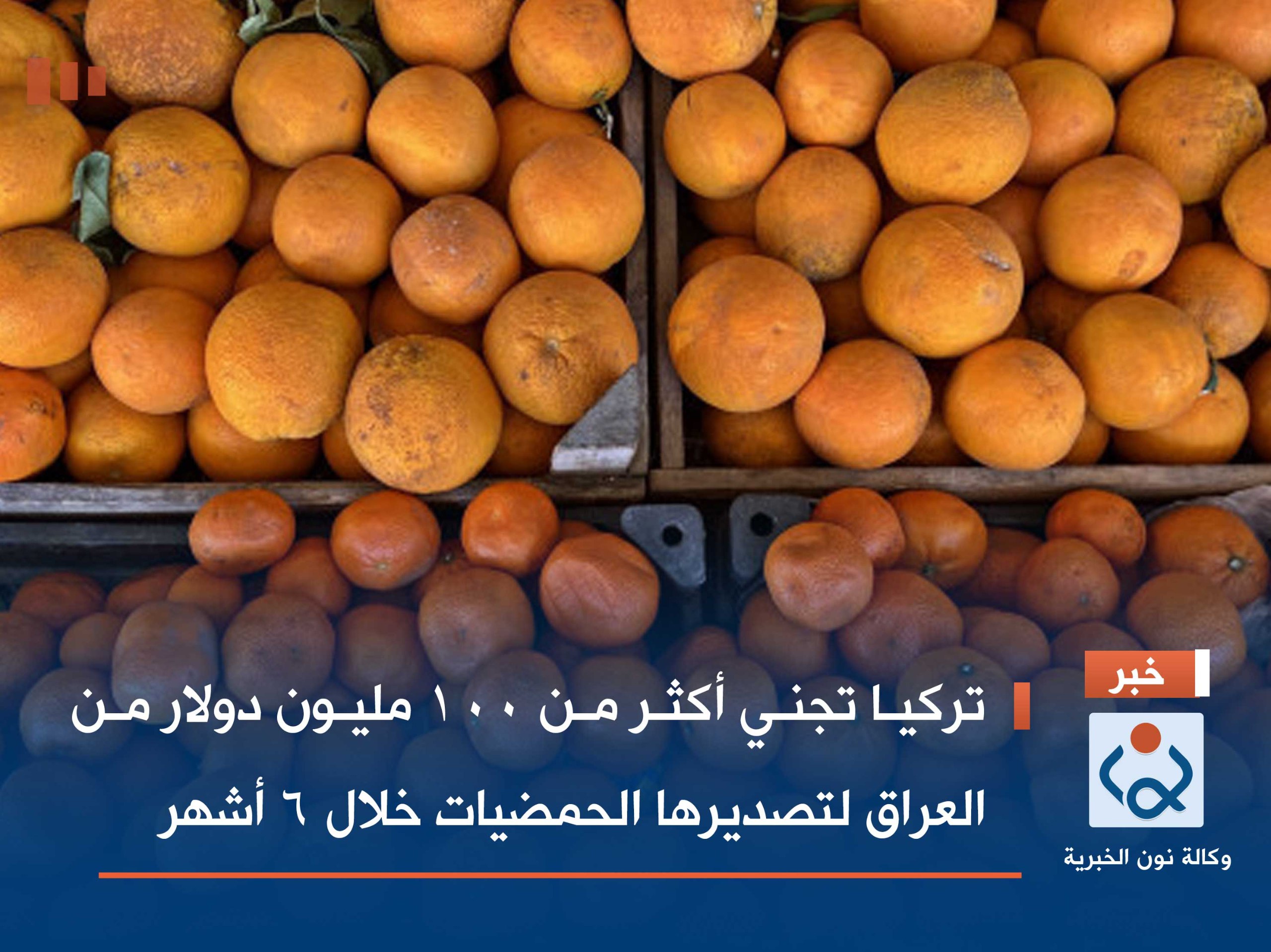 تركيا تجني أكثر من 100 مليون دولار من العراق لتصديرها  الحمضيات  خلال 6 أشهر