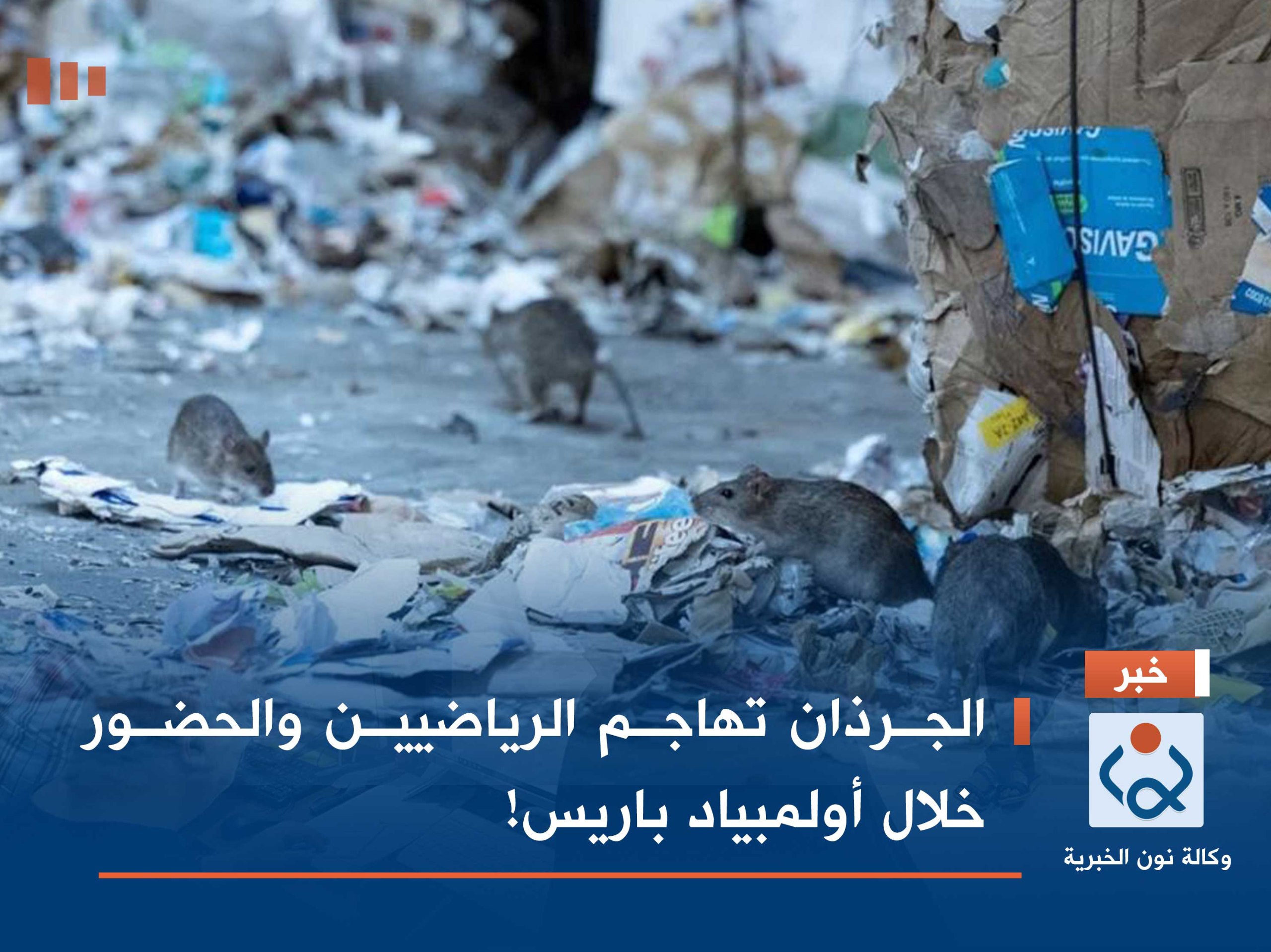 الجرذان تهاجم الرياضيين والحضور خلال أولمبياد باريس!