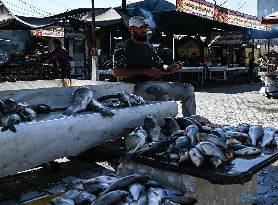 الزراعة: فتح استيراد الأسماك جاء لدعم المواطن