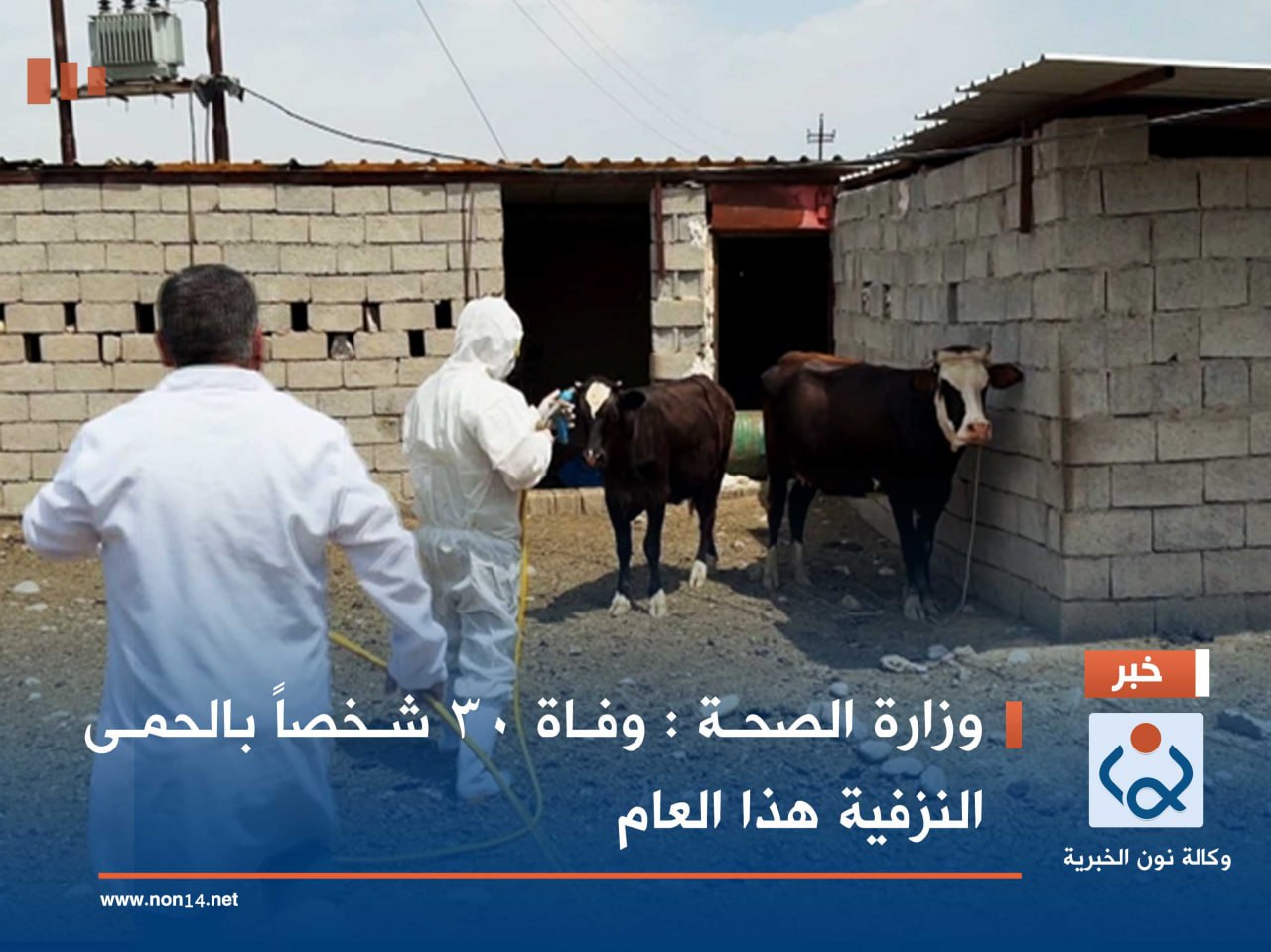 وزارة الصحة : وفاة 30 شخصاً بالحمى النزفية هذا العام