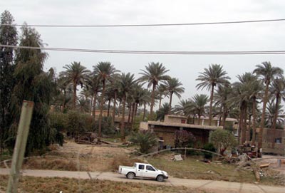 تباين قرارات الدوائر الخدمية في كربلاء بخصوص تقديم الخدمات لدور البستنة