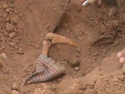 مقابر جماعية لطلاب من البحرين تحت تراب الديوانية