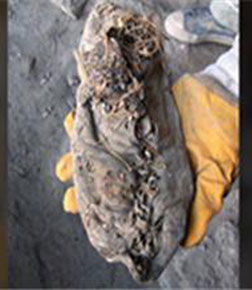 العثور على أقدم حذاء جلدي في العالم في کهف في ارمينيا