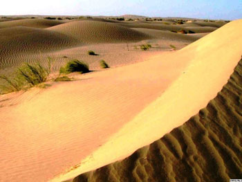 كربلاء احدى اكثر محافظات العراق معاناة من زحف الصحراء