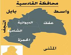 لاول مرة في العراق .. نجاح  زراعة شاي الكجرات في الديوانية