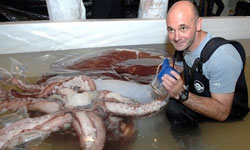 سر الأخطبوط الذي تنبأ بنتائج 6 مباريات