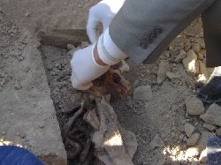 فتح مقبرة جماعية تعود لمسيح عراقيين  في دهوك