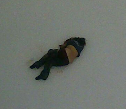 انتحار عراقي رفض لجوؤه الى بريطانيا