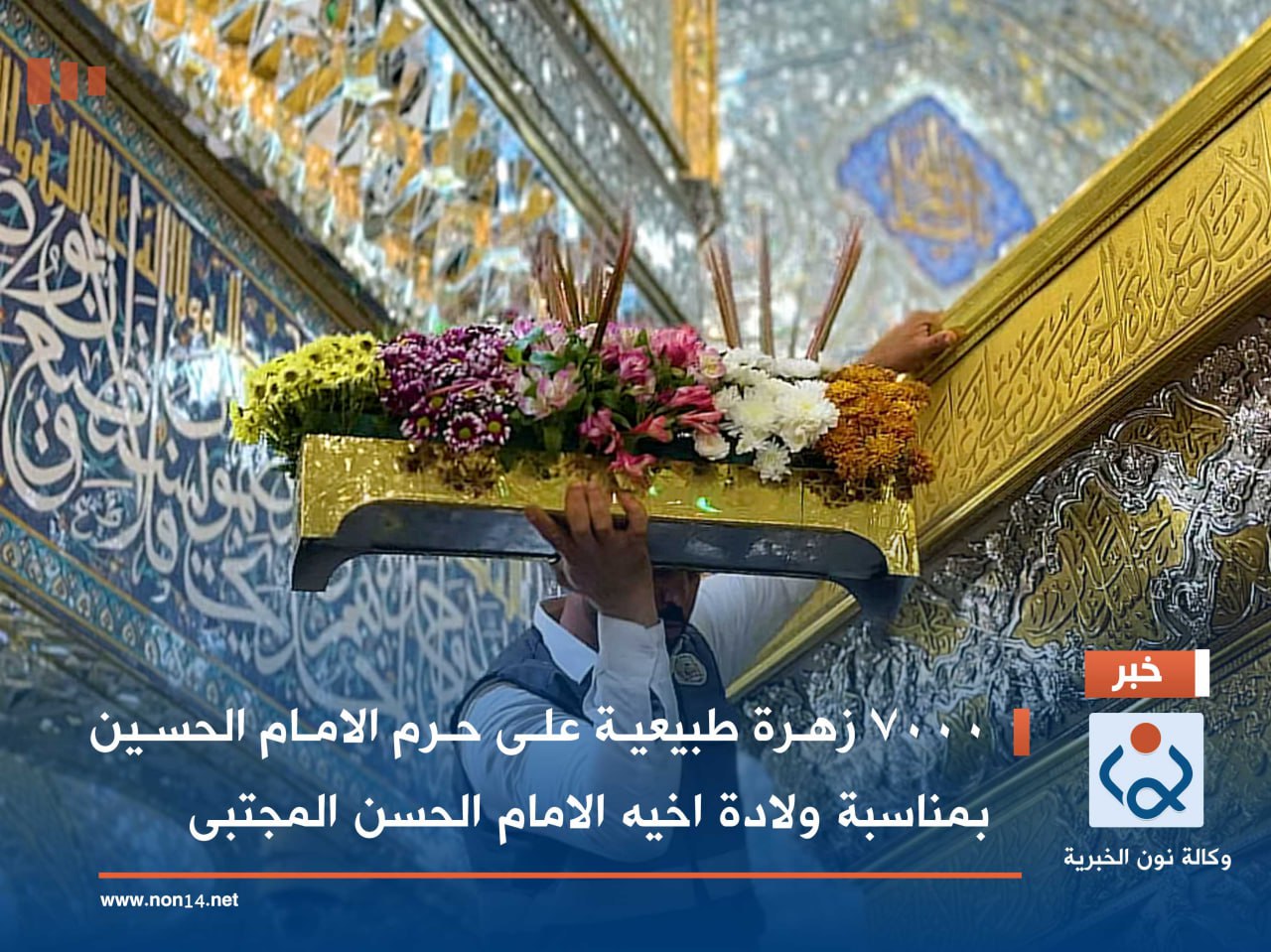 7000 زهرة طبيعية على حرم الامام الحسين بمناسبة ولادة اخيه الامام الحسن المجتبى (فيديو)