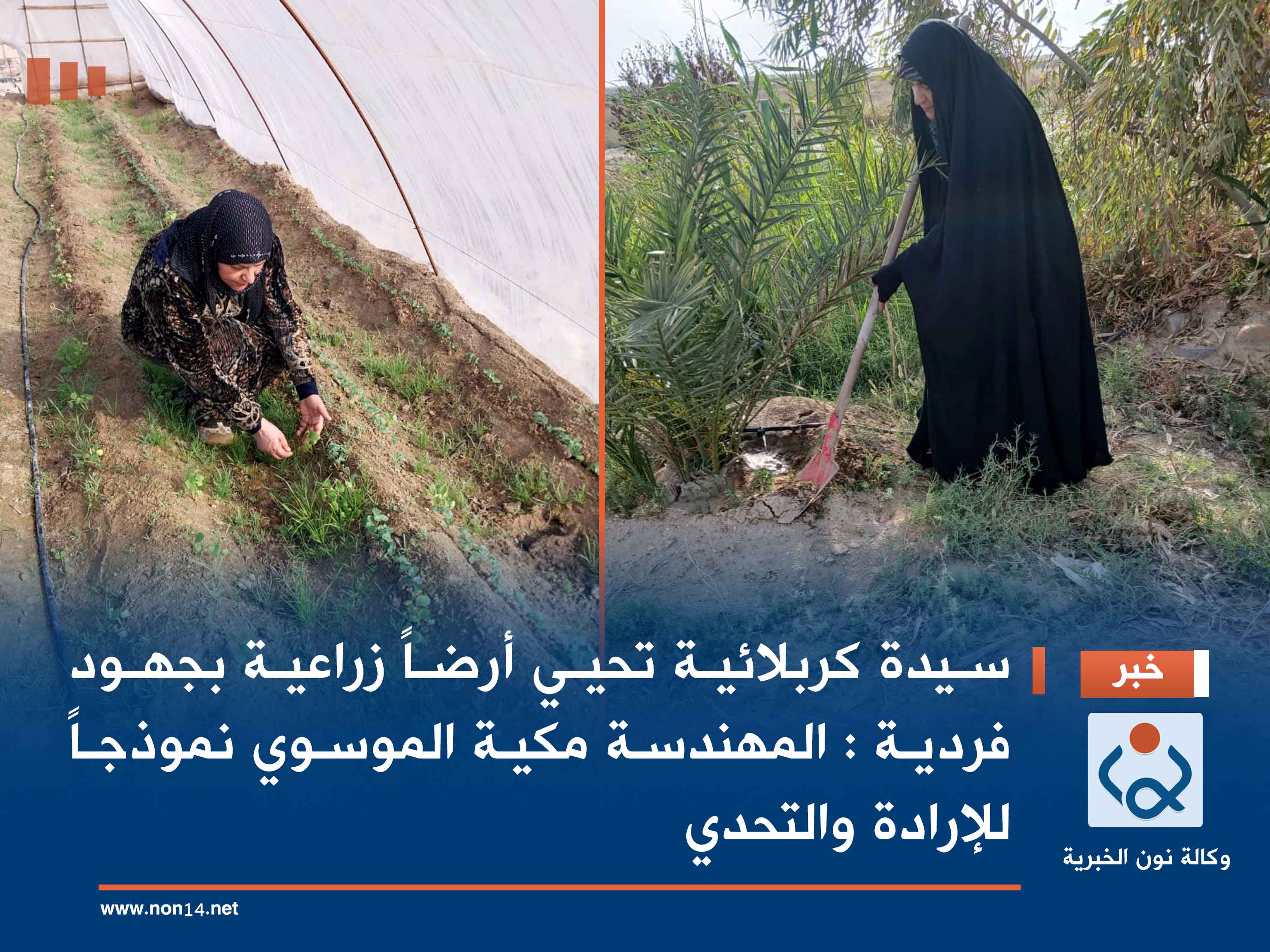 سيدة كربلائية تحيي أرضاً زراعية بجهود فردية : المهندسة مكية الموسوي نموذجاً للإرادة والتحدي