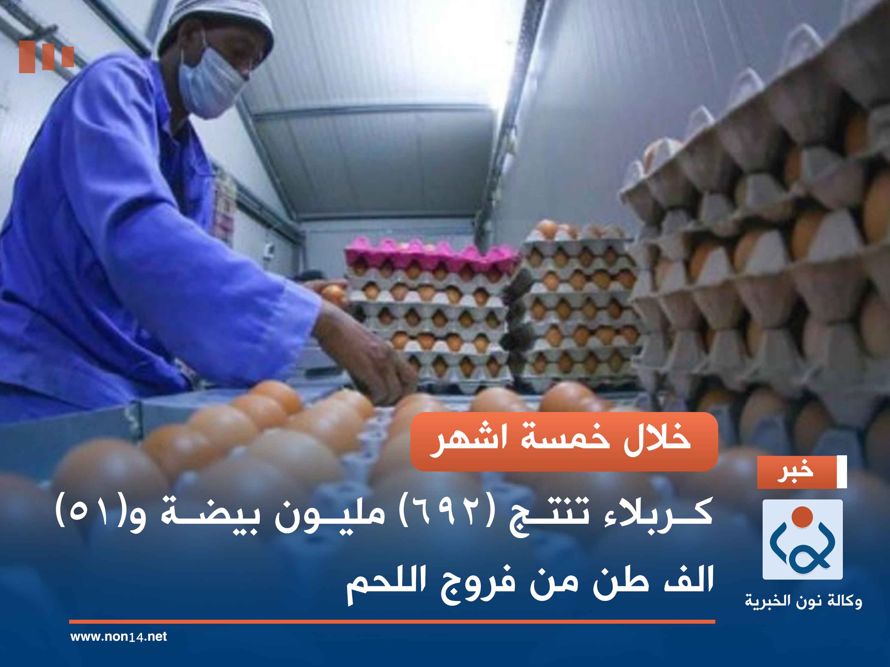 خلال خمسة اشهر... كربلاء تنتج (692) مليون بيضة و(51) الف طن من فروج اللحم