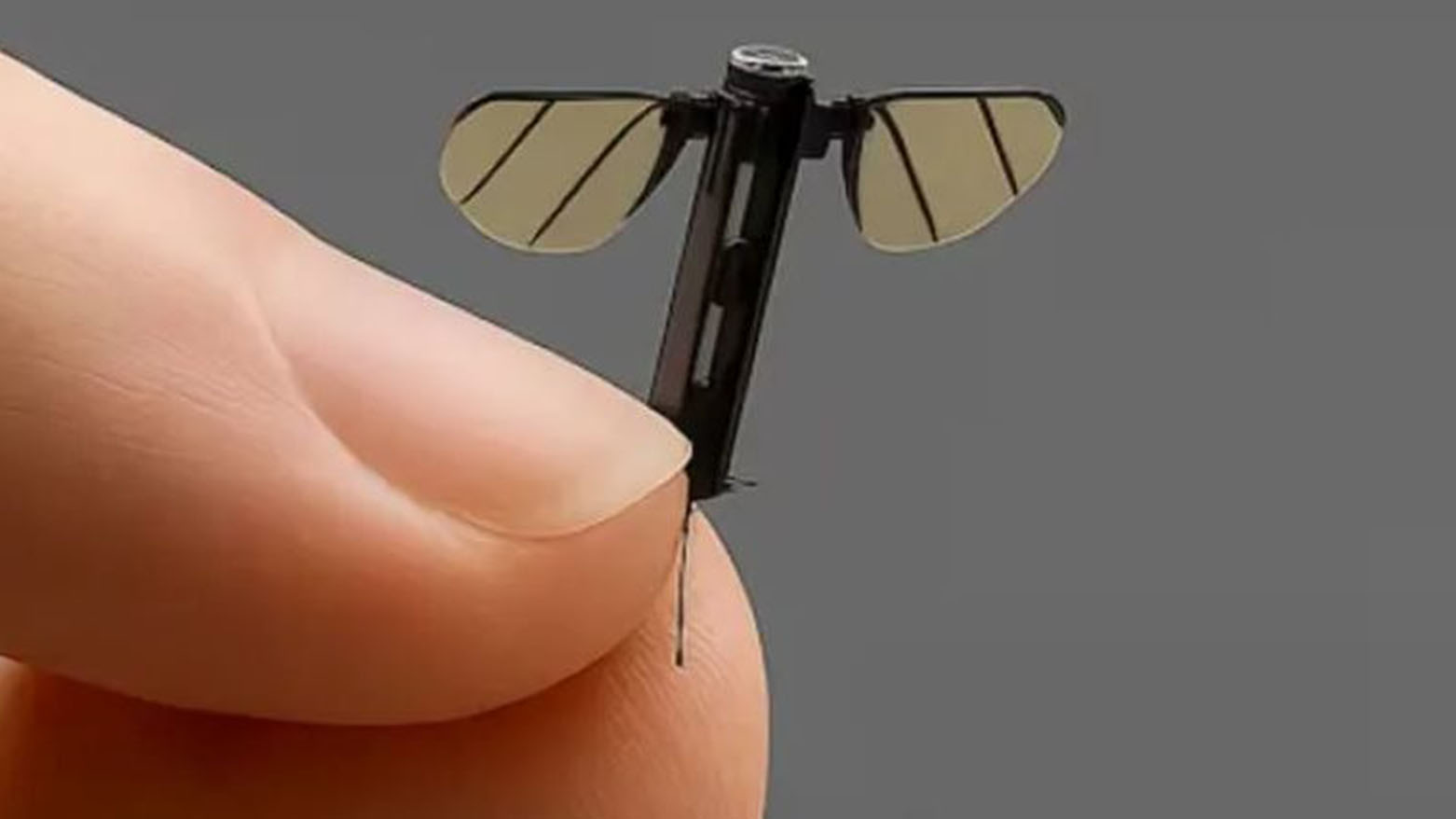 الصين تُطور طائرة تجسس بحجم البعوضة