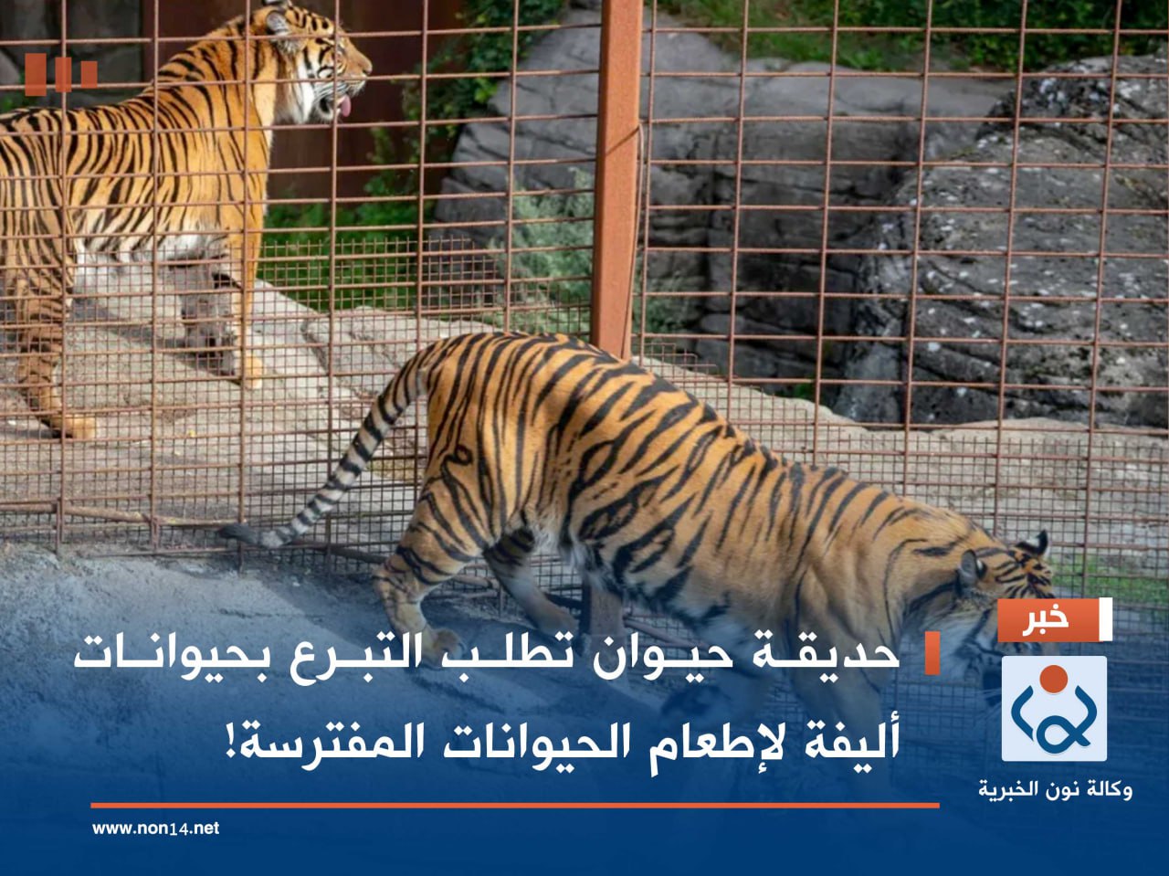 حديقة حيوان تطلب التبرع بحيوانات أليفة لإطعام الحيوانات المفترسة!