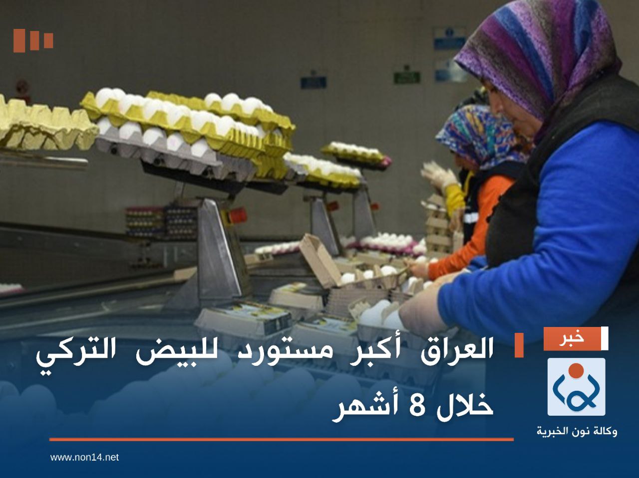 العراق أكبر مستورد للبيض التركي خلال 8 أشهر