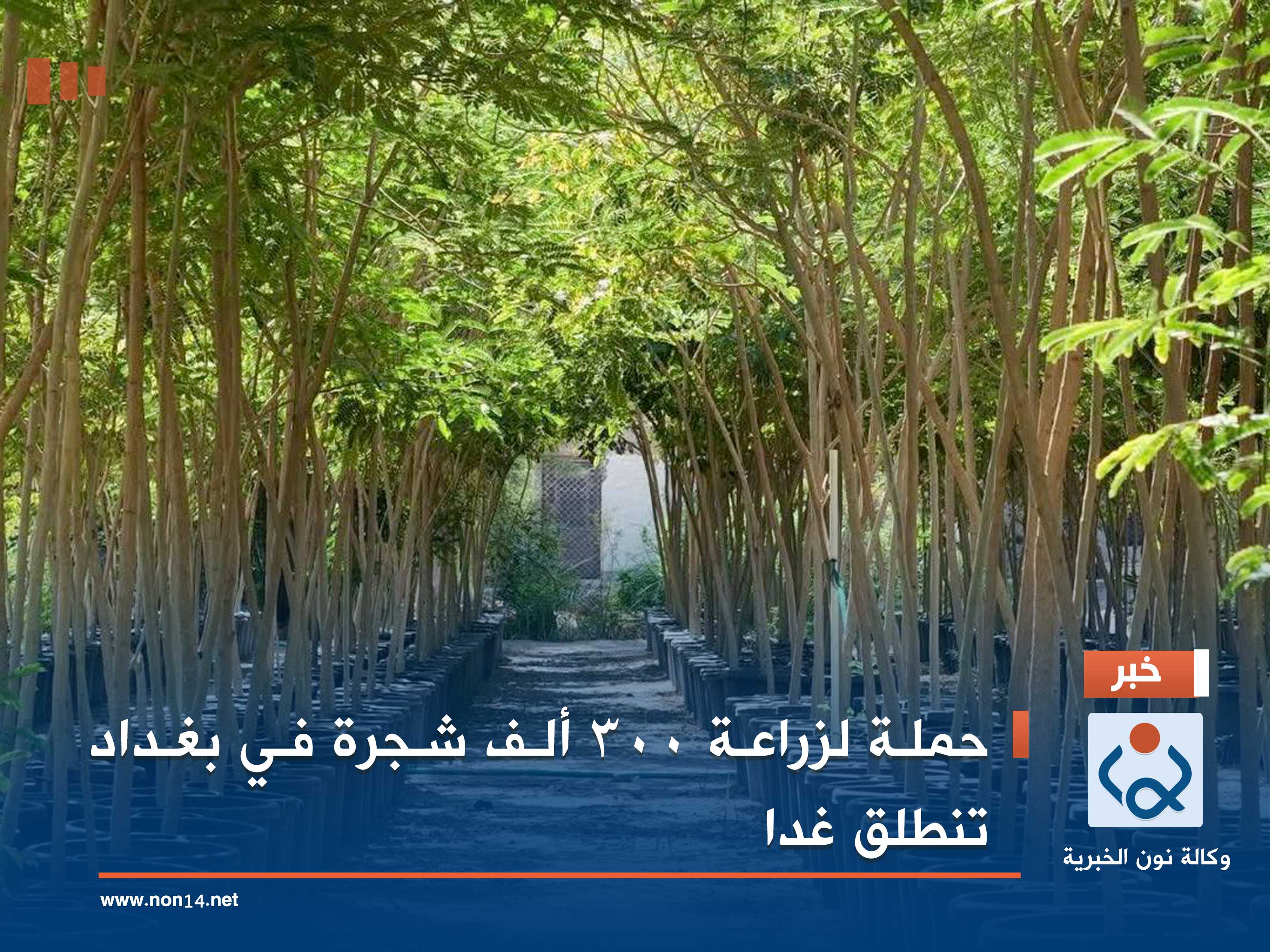 حملة لزراعة 300 ألف شجرة في بغداد تنطلق غدا