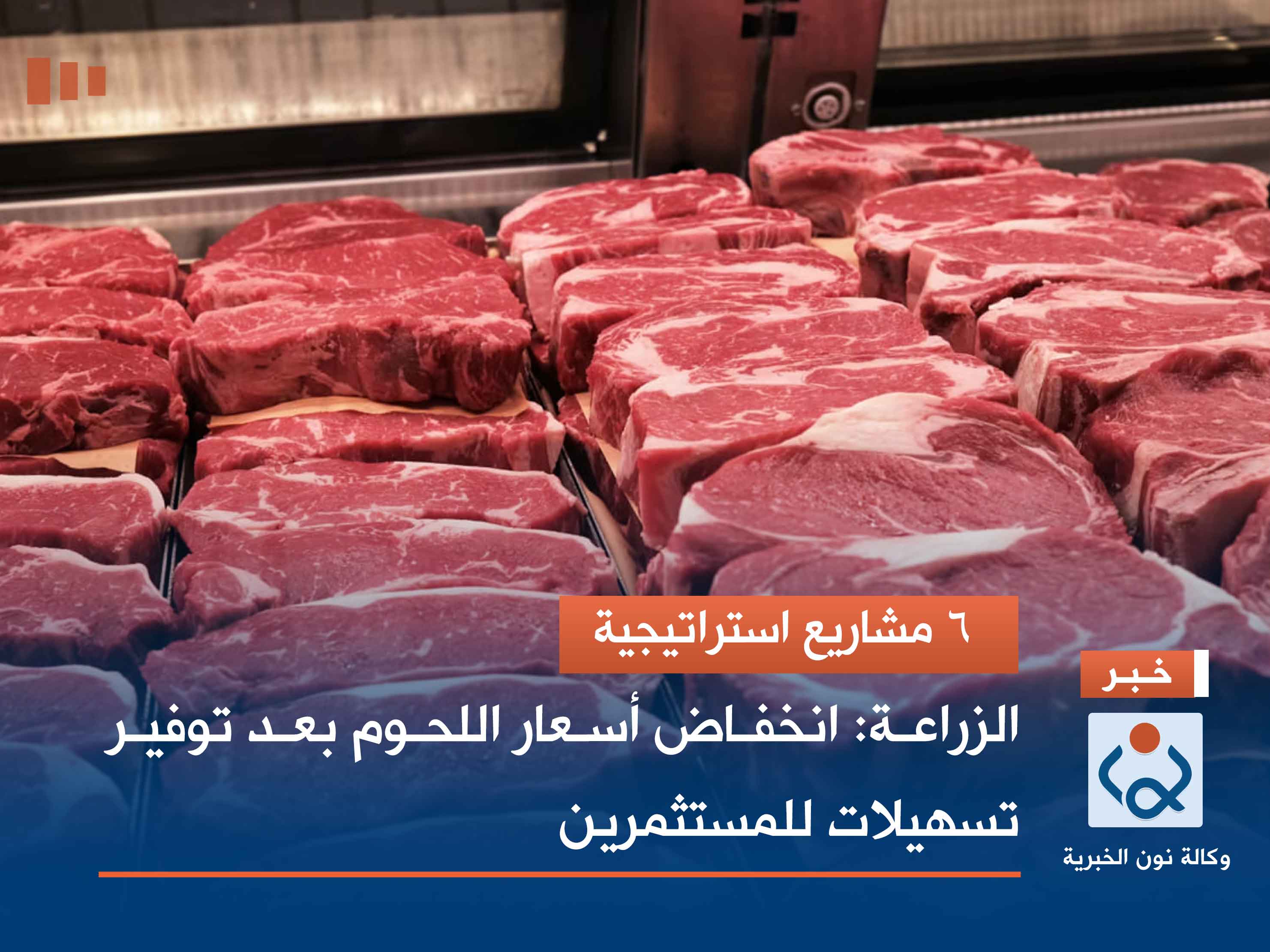 6 مشاريع استراتيجية.. الزراعة: انخفاض أسعار اللحوم بعد توفير تسهيلات للمستثمرين