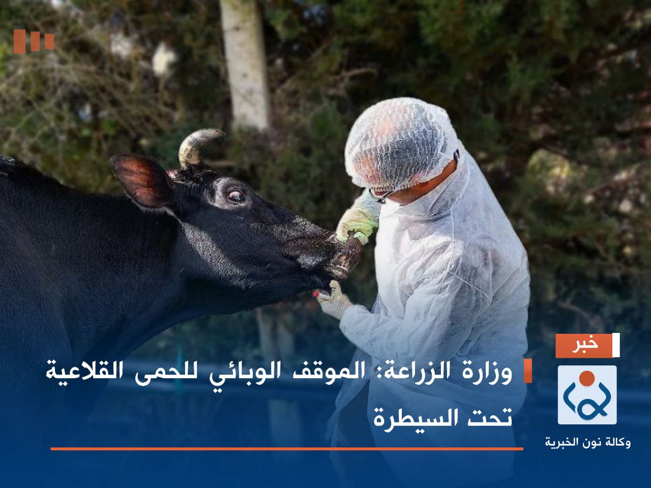 وزارة الزراعة: الموقف الوبائي للحمى القلاعية تحت السيطرة