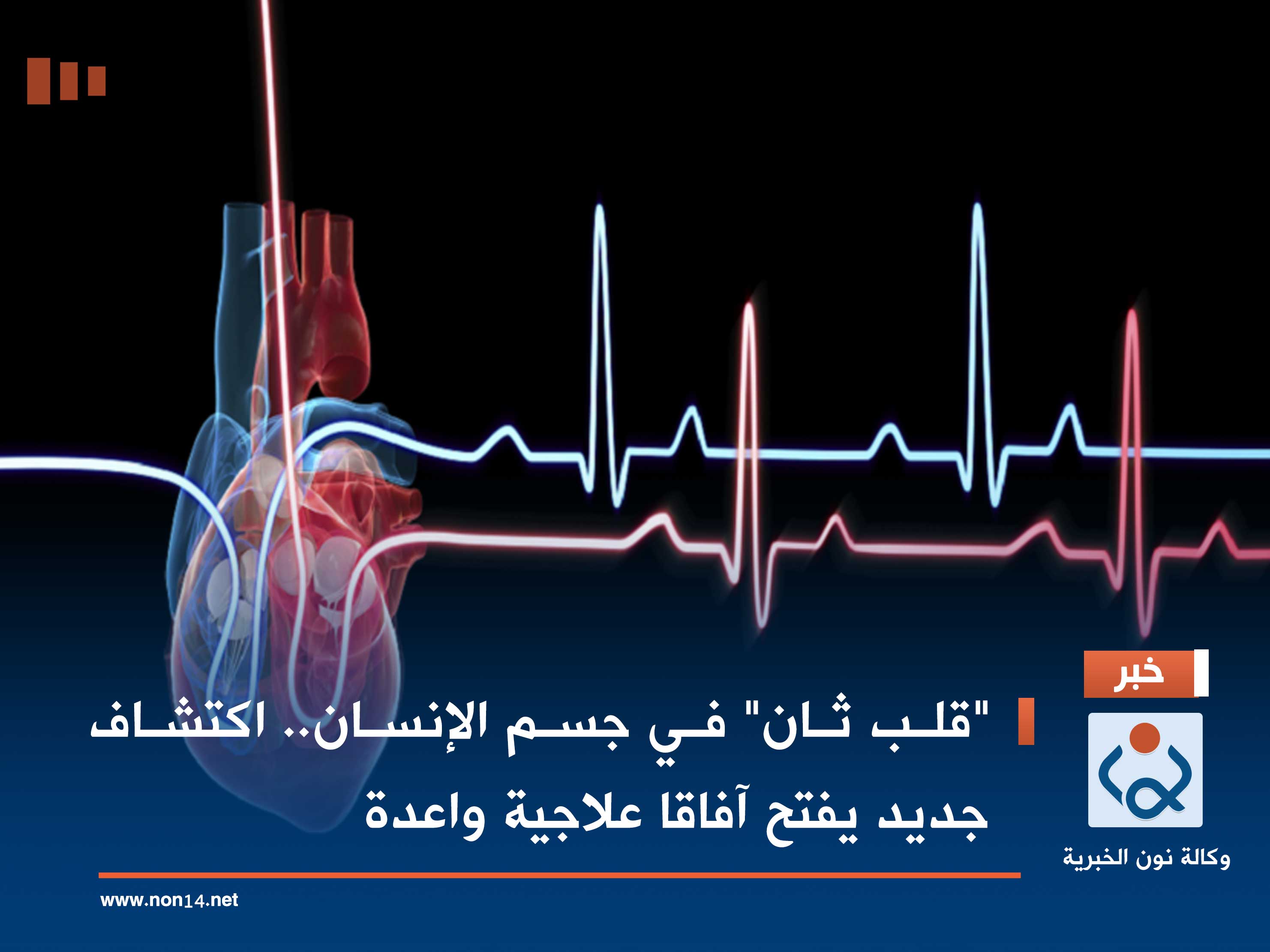 "قلب ثان" في جسم الإنسان.. اكتشاف جديد يفتح آفاقا علاجية واعدة