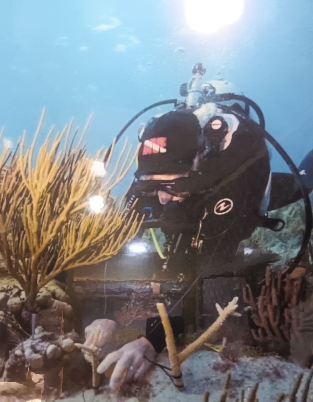 بينهم الهاوي والباحث عن الرزق.. في البصرة.. خبير يبيع معدات الغوص في البحار ويدرب الغواصين