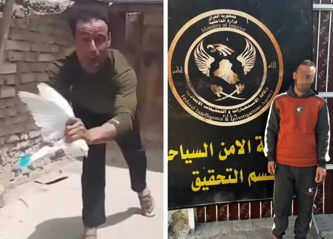 القبض على شخص ظهر في فيديو يعذب الطيور بطريقة وحشية