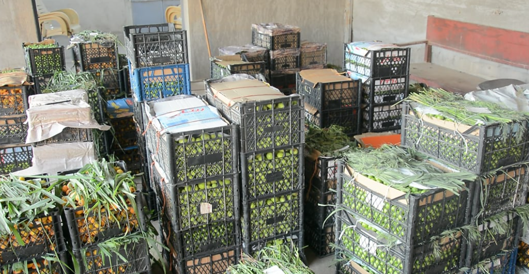 الزراعة تمنع استيراد 11 محصولاً وتفتح الطماطة مؤقتاً