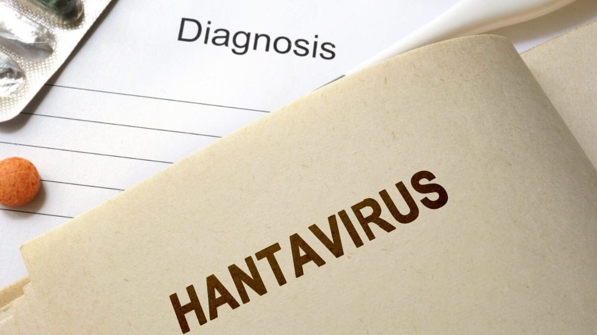 "هانتا" بعد "كورونا".. هل يجب الحذر من "الفيروس الجديد"؟