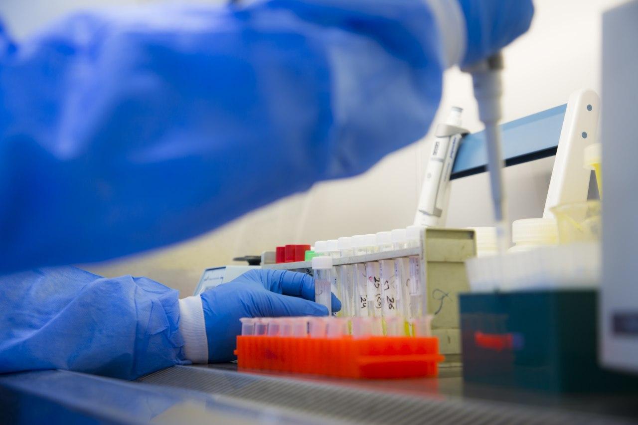 خلال ساعات.. البصرة تسجل 81 اصابة بكورونا