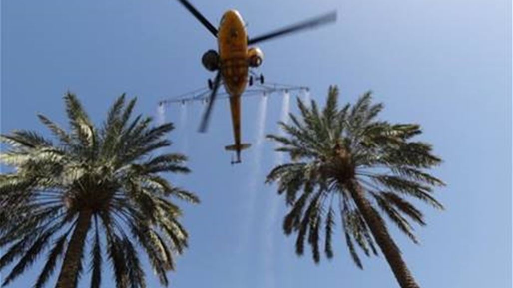 الزراعة تعلن عن موعد بدء الحملة الجوية لمكافحة دوباس النخيل في كربلاء