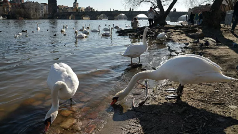 روسيا تتهيأ لسنة قاحلة ستؤثر على "خبز" العالم