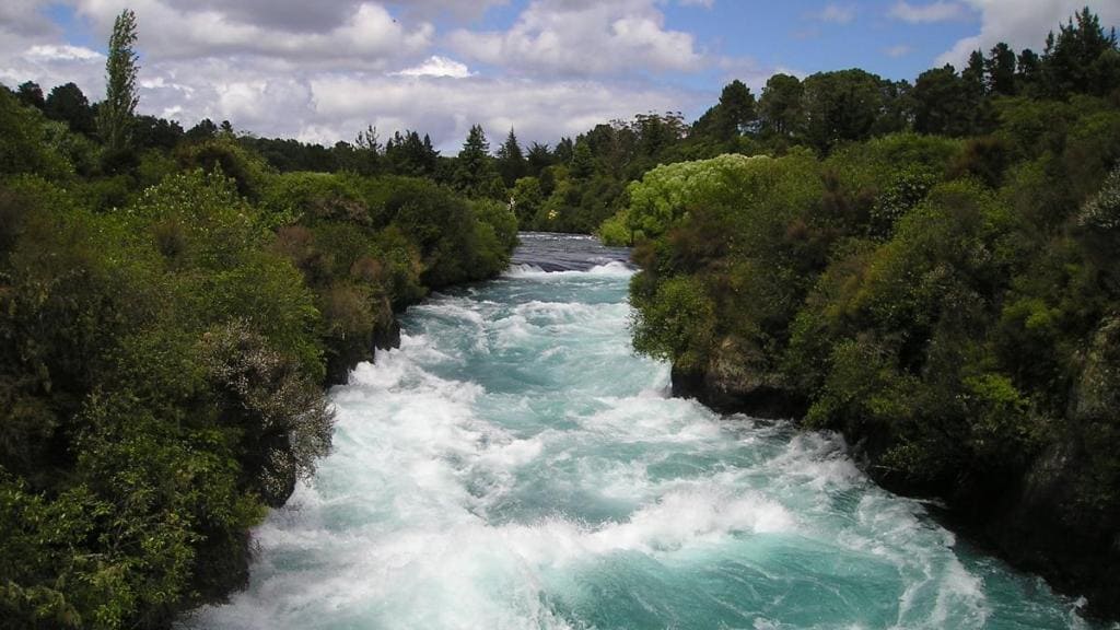 ما المدة التي يعيشها فيروس كورونا في مياه الأنهار؟