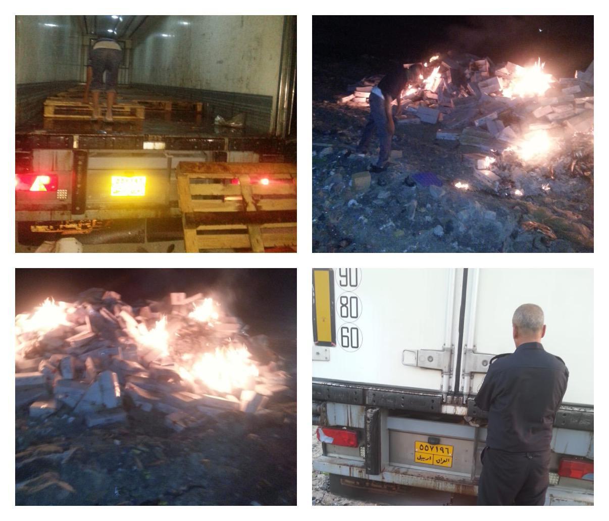 العراق يتلف "اسماك بحرية" مستوردة في البصرة