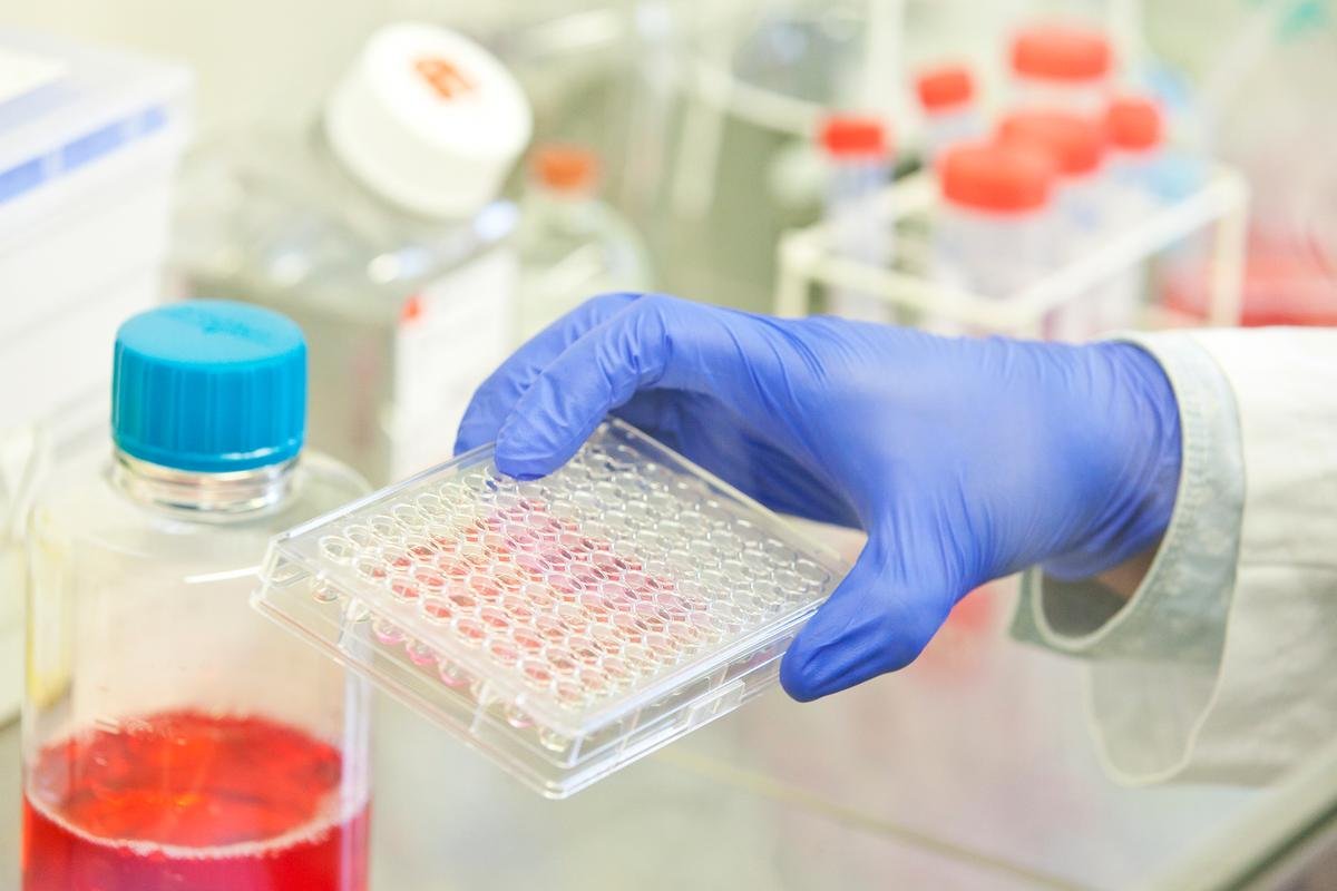 بالفيديو.. الموقف الوبائي لفيروس كورونا في كربلاء