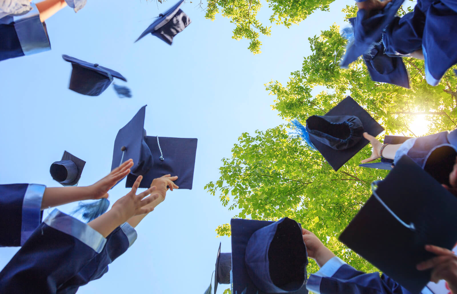 التعليم النيابية: تخصيص 15% من الوظائف لحملة الشهادات العليا في موازنة 2020