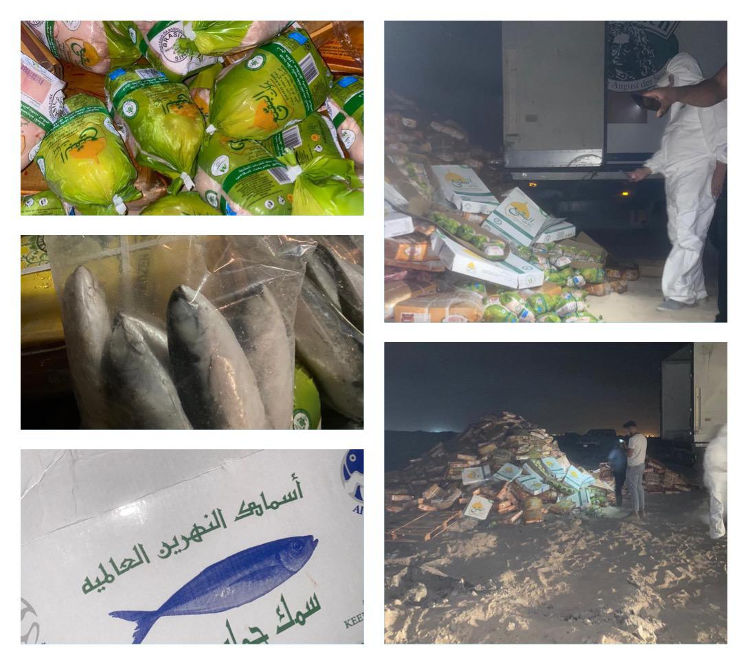 اتلاف دجاج وسمك "مجمد" غير صالح للاستهلاك البشري في البصرة