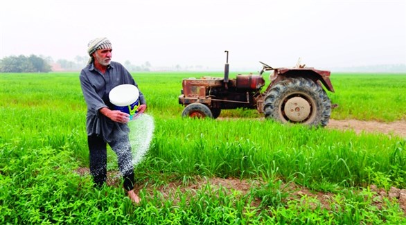 نائب "يستغرب" قرار الحكومة بتخفيض الدعم للمزارع العراقي