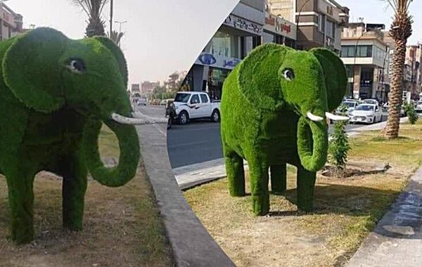 من "فيل" كربلاء الى "نسر" الحسينية .. تحولات الرأي العام