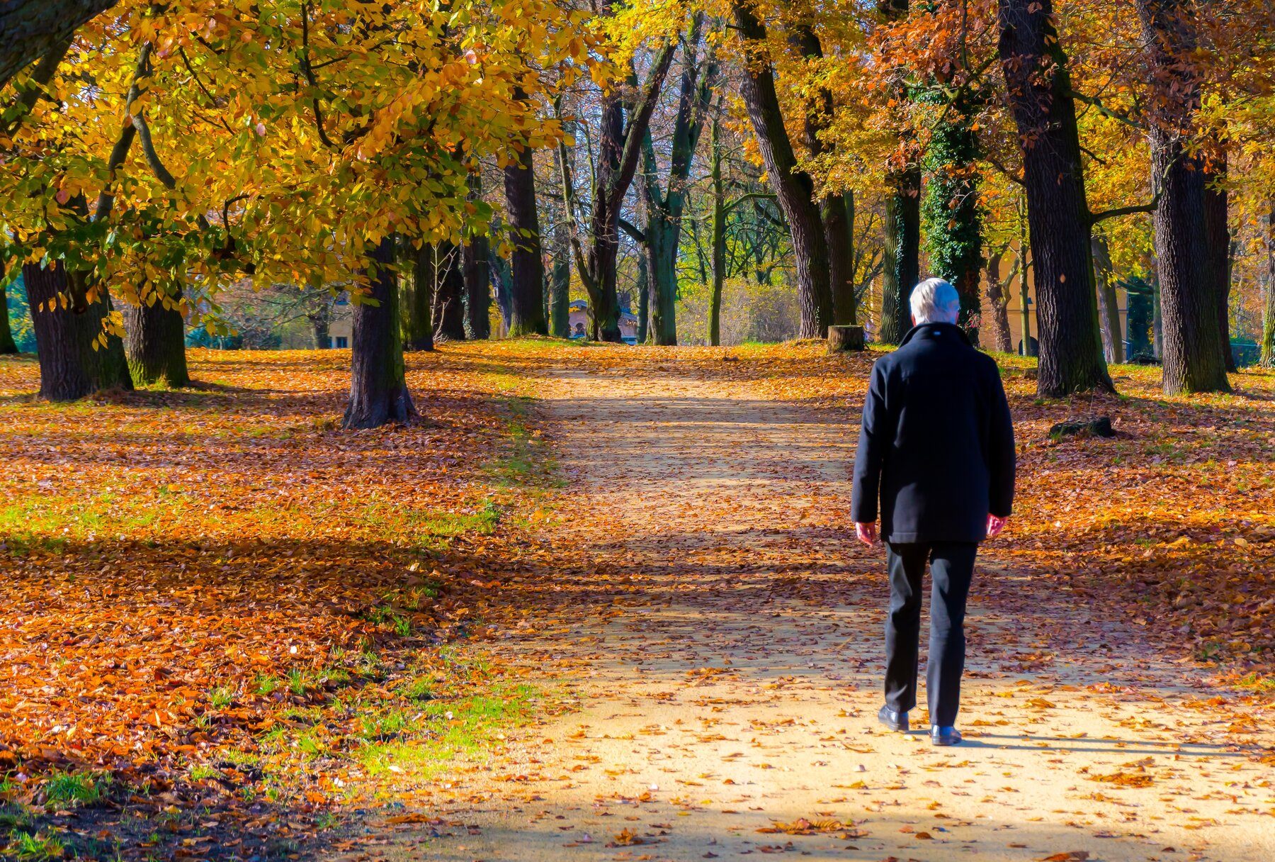 الصباح أم المساء.. ما "الوقت الأفضل" لرياضة المشي؟