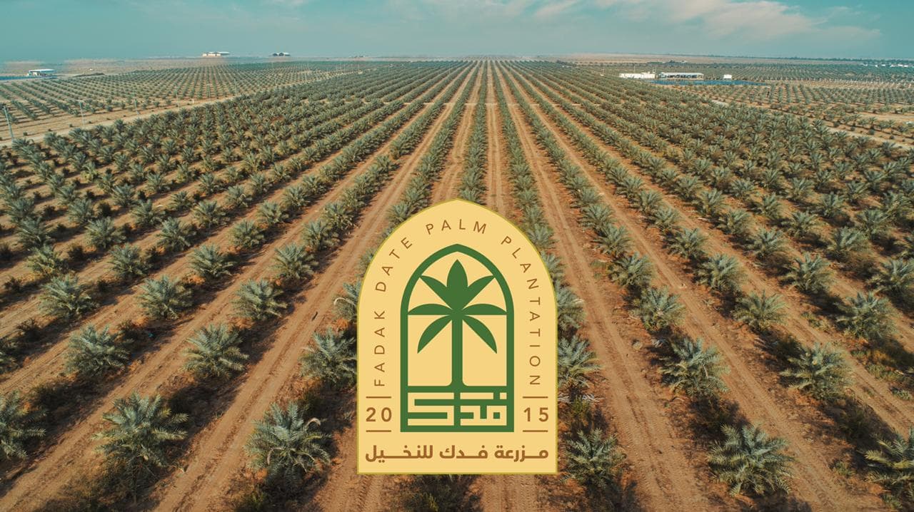 مزرعة فدك للنخيل تطلق علامتها التجارية الجديدة والهوية البصرية الخاصة بالمزرعة