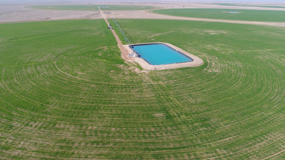 من بينها صحراء النجف وكربلاء.. العراق يتفق مع شركات سعودية بشأن استثمار الأراضي الصحراوية