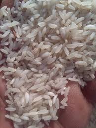 التجارة تعلن موعد توزيع أرز العنبر في البطاقة التموينية